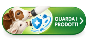 guarda i nostri prodotti
